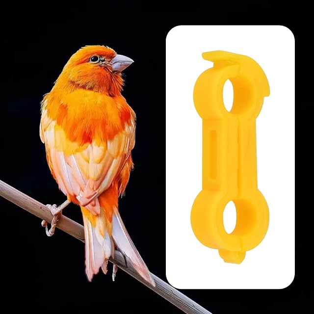Foto 3 de 7 de eMagTech 2 Anillos de Tratamiento para Patas Abiertas de 5 mm para Pájaros Bandas para Patas Abiertas…