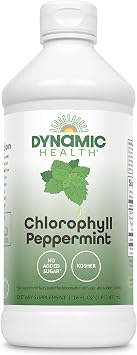 Dynamic Health Liquid Chlorophyll Peppermint 100 mg, Sodium Copper Chlorophyllins with Alfalfa and Mulberry Leaves, Plant Cleanse and Deodorizing, No Added Sugar, 16 Fl Oz