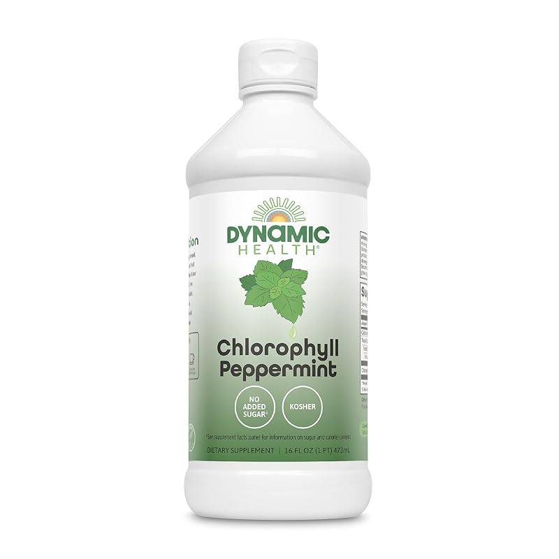Dynamic Health Clorofila Líquida com Hortelã-pimenta, Clorofilinas de Cobre e Sódio 100 mg, 1 frasco de 473 mL