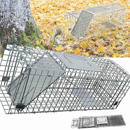Trampa para ratas vivas, 60 cm, grande, para ratas vivas, estable, apta para animales y reutilizable, para uso en interiores, cocina, almacenamiento, jardín, 61 x 19 x 21 cm