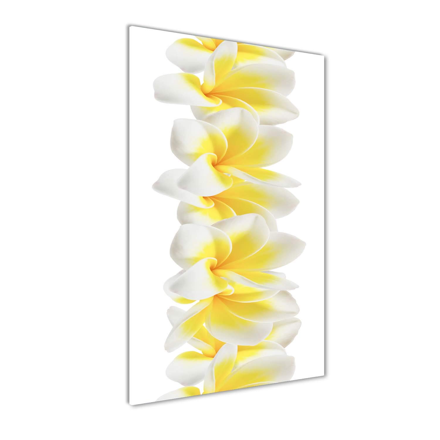 Image sur verre acrylique 60x120 cm ultra résistante et lumineuse motif plumeria jaune Tulup