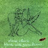 self-released & Important Records