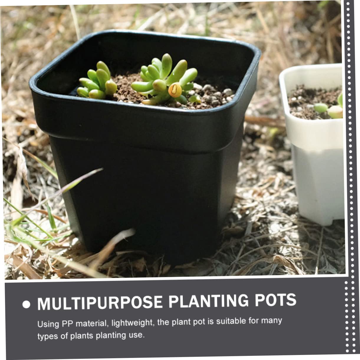 TOYANDONA 30 Pièces Pots de Fleurs Épais Godets de Semis Drainage pour Plantes Bonsai Accessoire de Jardinage