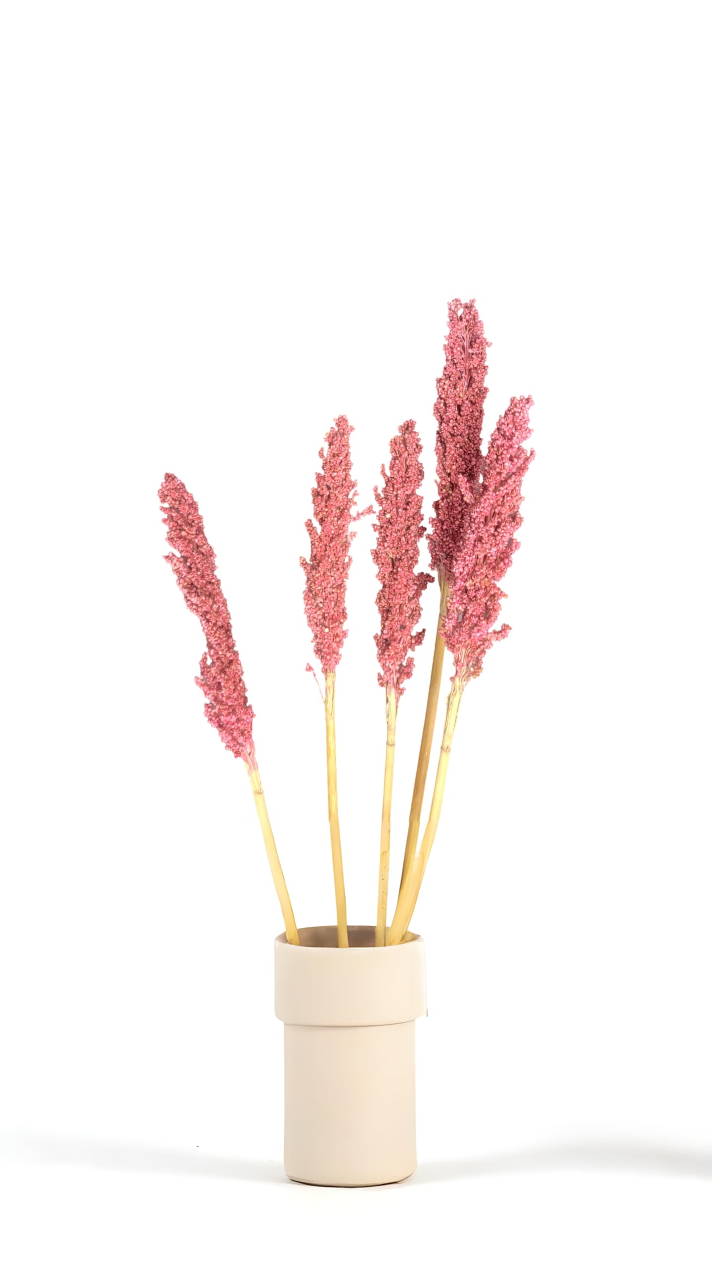 RUKDA® Dried Pink Sorghum Flower Sheaves - Dry Grass Bouquet for Wedding Table Centerpieces, Home, Office Decoration - 2 Pcs 1