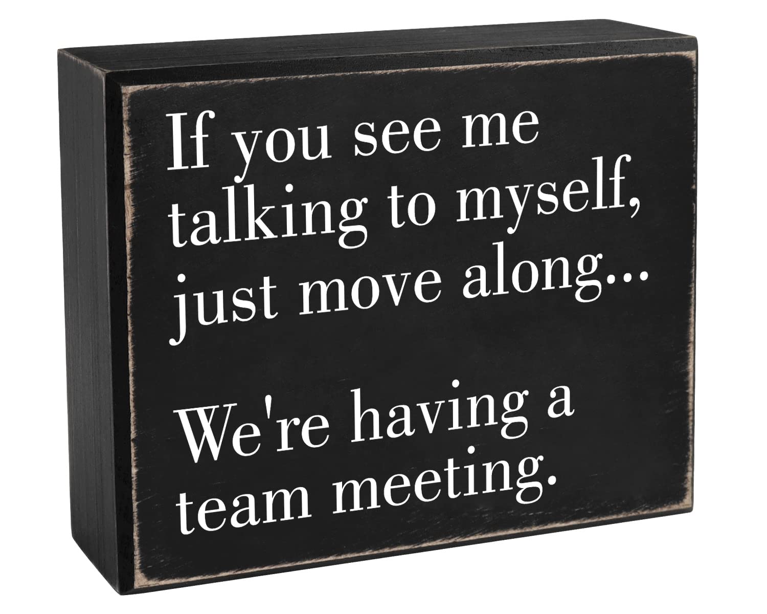 Pigort Funny Office Decor Sign for Cubicle Decor or Desk Decorations for Women Office - Cute Desk Accessories-If You See me talking to myself..5“x6”