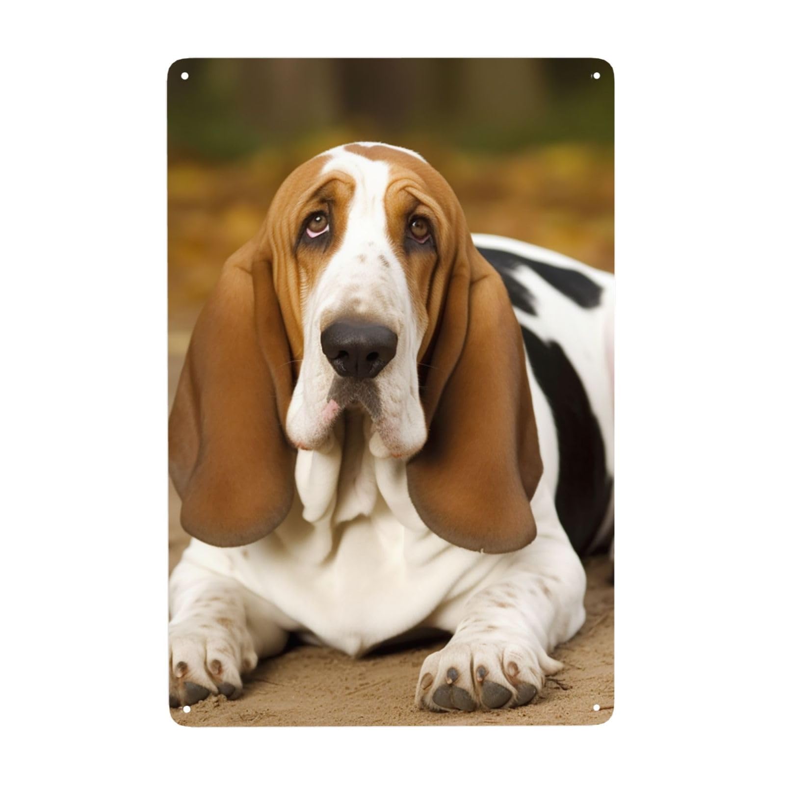 Vintage Metal Tin Signs Retro Garage Signs Stylish Wall Art Plaques for Home Decor Unique Poster 8x12 Inch Basset Hound Metal Sign Outdoor Wall Decorations Gifts
