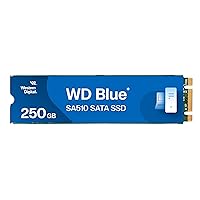 WD Blue SA510, 250 GB