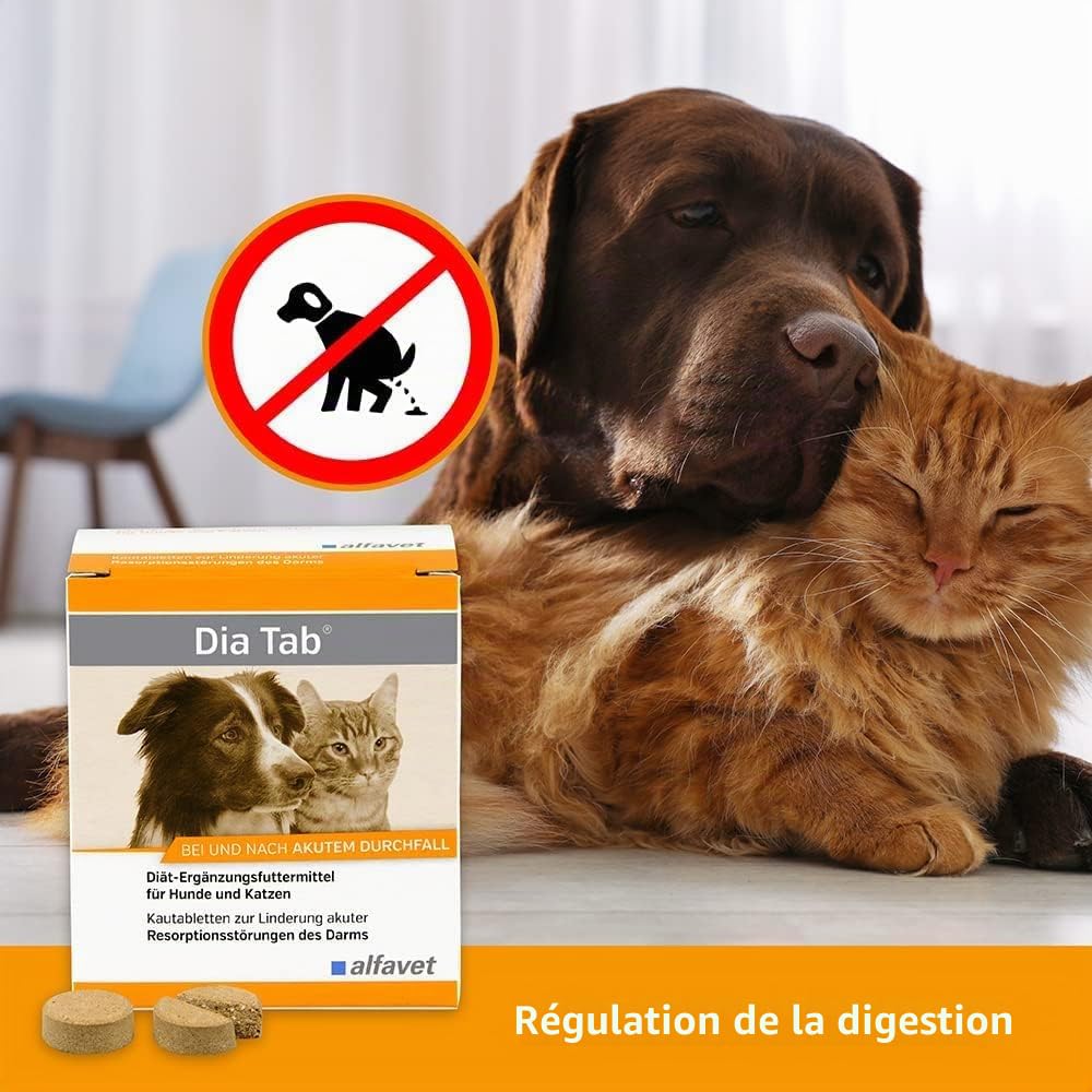 alfavet Dia Tab, complément Alimentaire diététique pour Chiens et Chats, comprimés à mâcher Contre la diarrhée et Les vomissements, 60 x 5,5 g