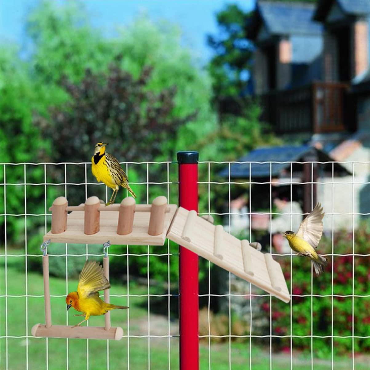 minkissy Hamsterspielzeug Set mit Schaukel und Sprungbrett für Streifenhörnchen und Kleine Papageien Robustes Zubehör für Hamster