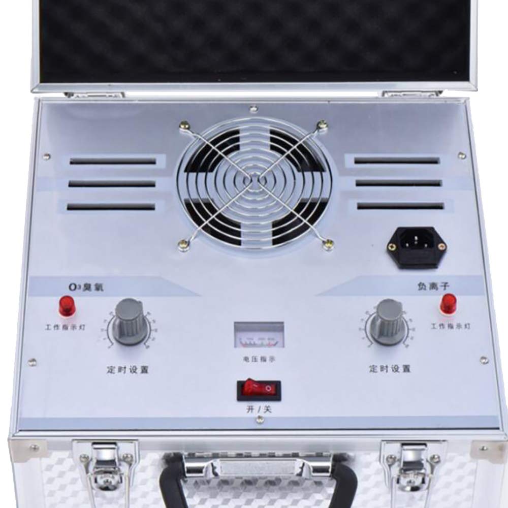 RajoNN 220 V Generador de Ozono Medidor Purificador de Aire Esterilizador 7 g/h con Anión Elimina Formaldehído/Descompone Gases Nocivos/Desinfección