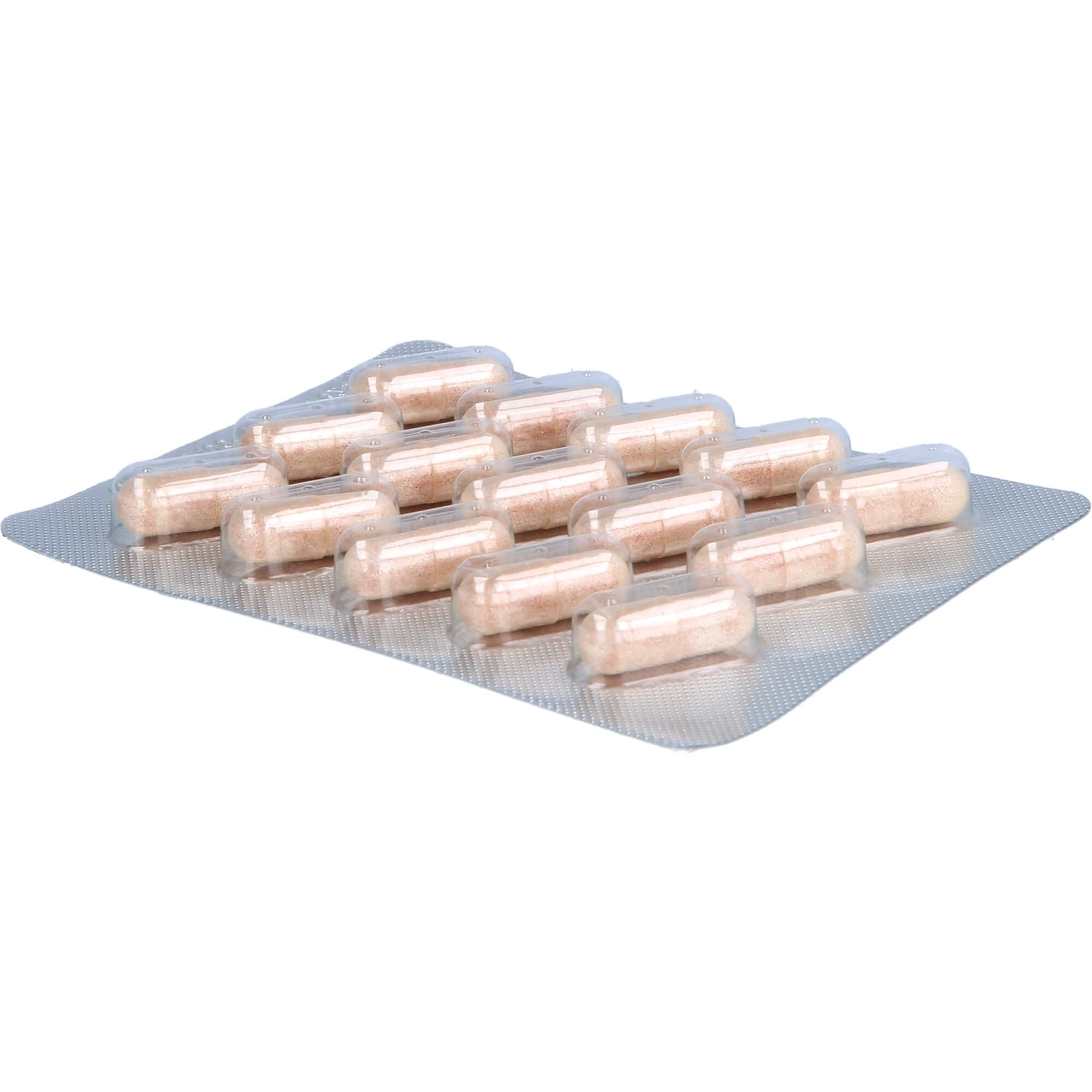 OPC Original Masqueliers Anthogenol Kapseln
