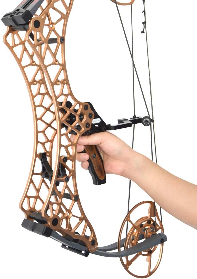 AMEYXGS Archery Compound Bow Draw Weight40-70/45-75/55-85 lbs Draw Length 24.5-29.5 Inches Archery Compound Bow Hunting with Max Speed 350fps Right Hand