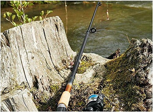 Crivit fishing rod set up by a riverbank
