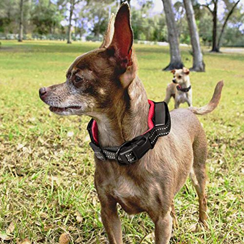 PJDDP Hundehalsband Mit Einziehbarer Hundeleine 2 in 1, Haustierhalsband Mit Schnellverschluss Reflektierende Verstellbares Hundetrainingshalsbänder Für Mittlere Und Kleine Hunde Walking/Wandern,M