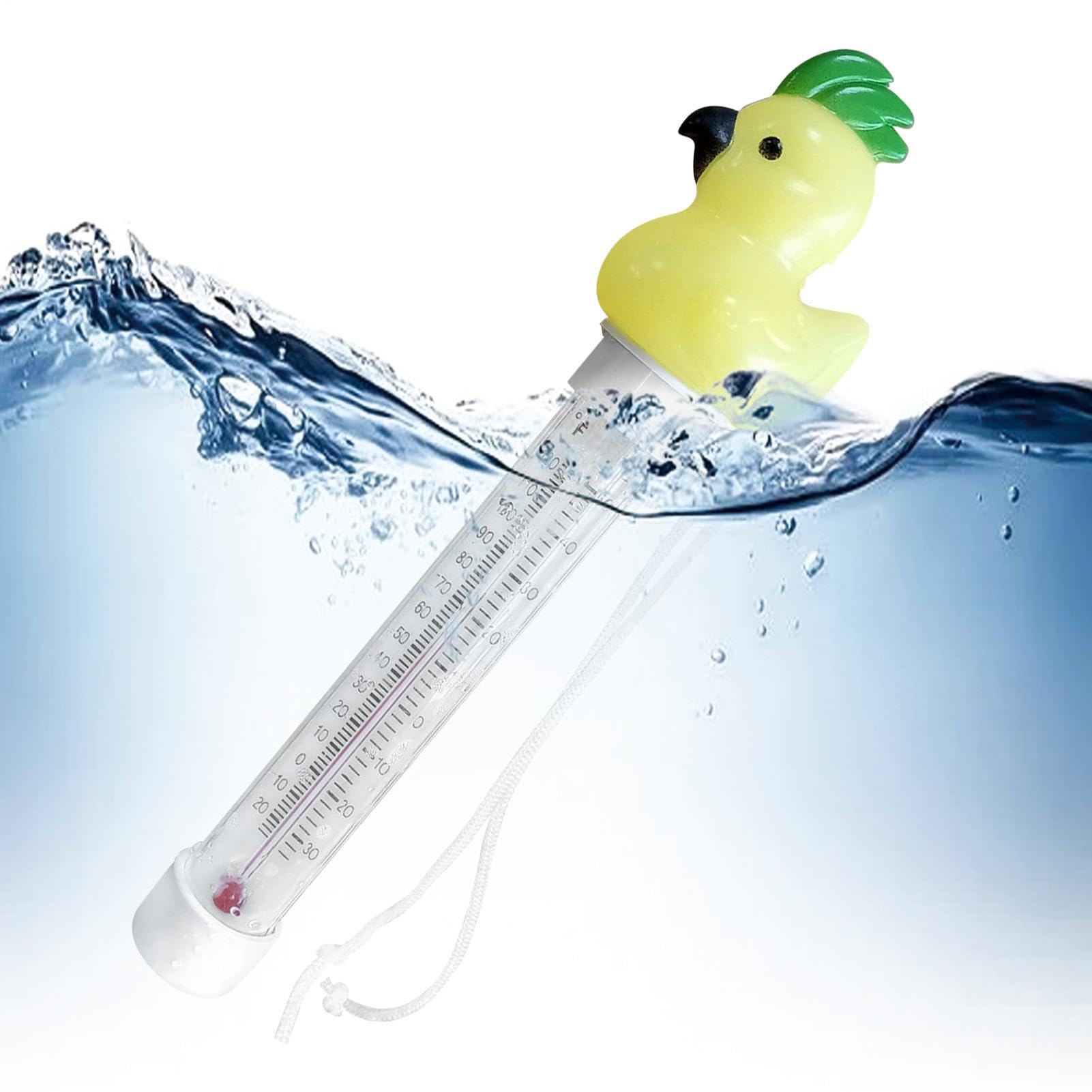 Floating Pool Temp Gauge Shatter-Resistant Funny Floating