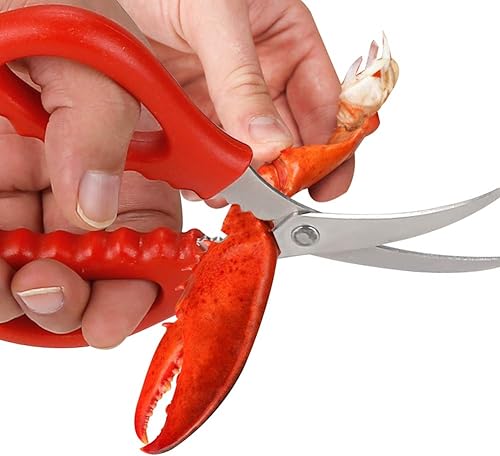 Miniatura 7 de Calary Tijeras de mariscos Tijeras de cangrejo Tijeras de mariscos Tijeras de mariscos Multifuncional para patas de cangrejo y herramientas