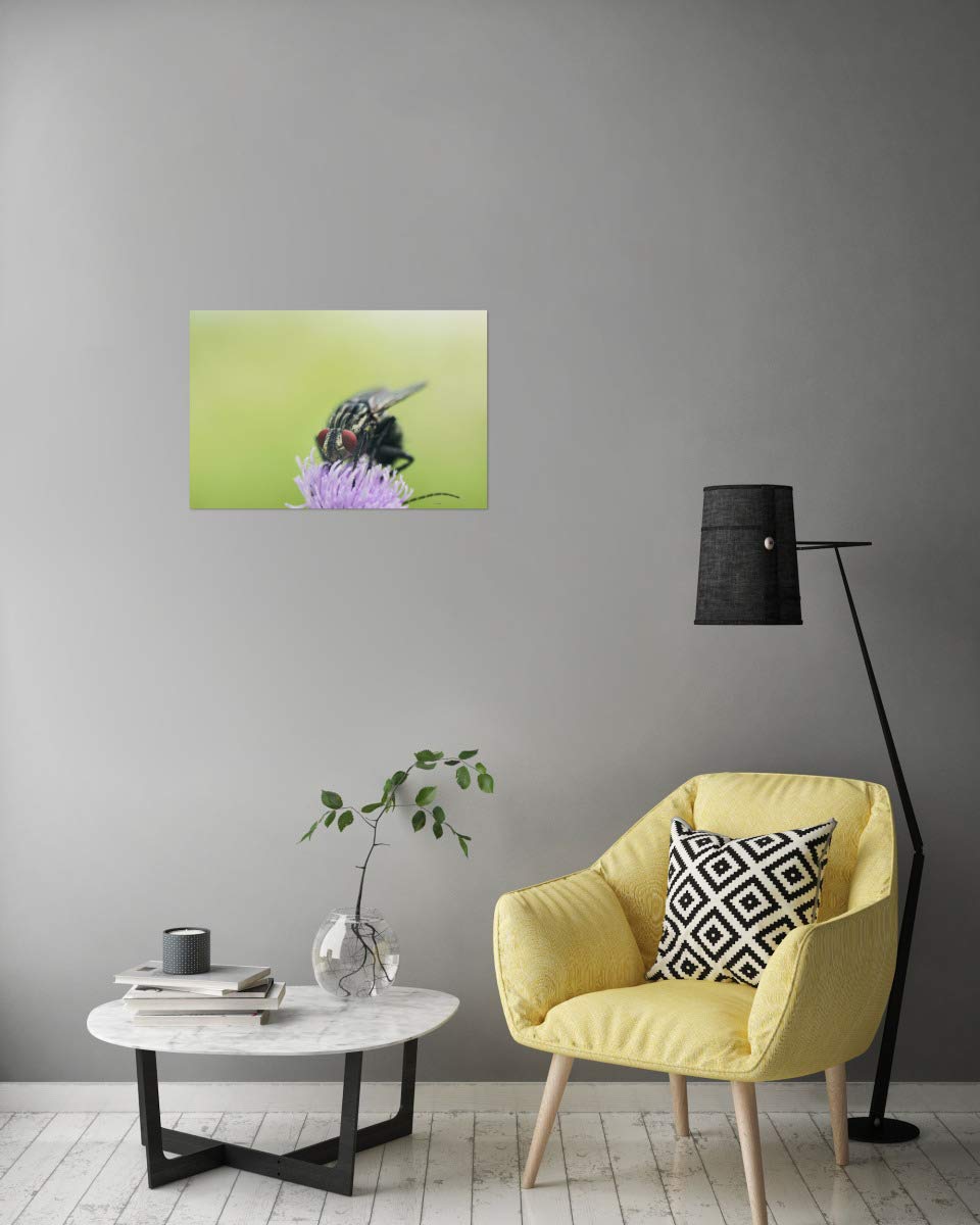 artboxONE Poster 90x60 cm Natur Fliege auf Distel hochwertiger Design Kunstdruck - Bild Fliege blüte distel