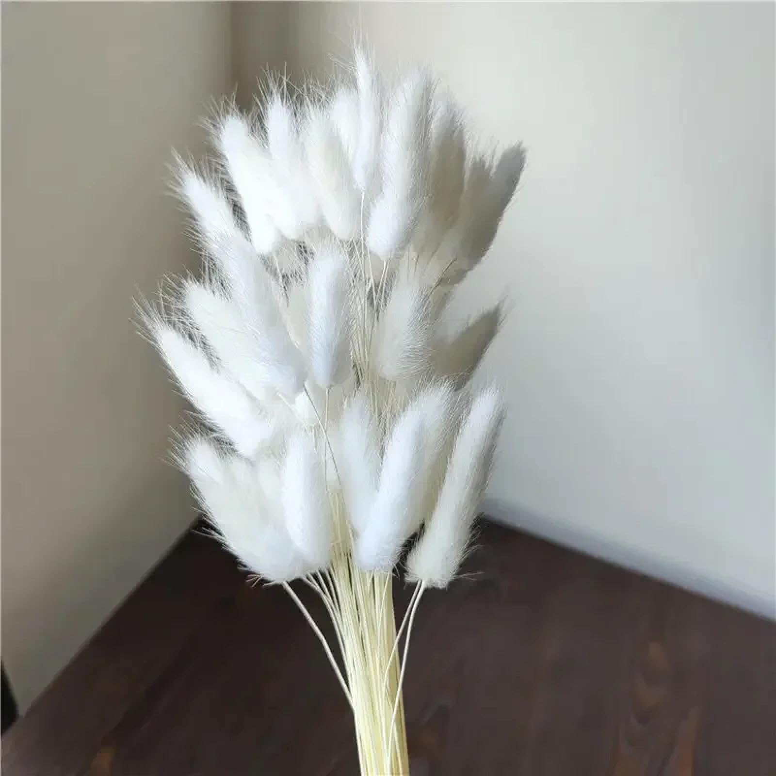 Bouquet da 100 pezzi di fiori secchi naturali di coniglio essiccati da 45 cm, decorazione per la casa, stile 2