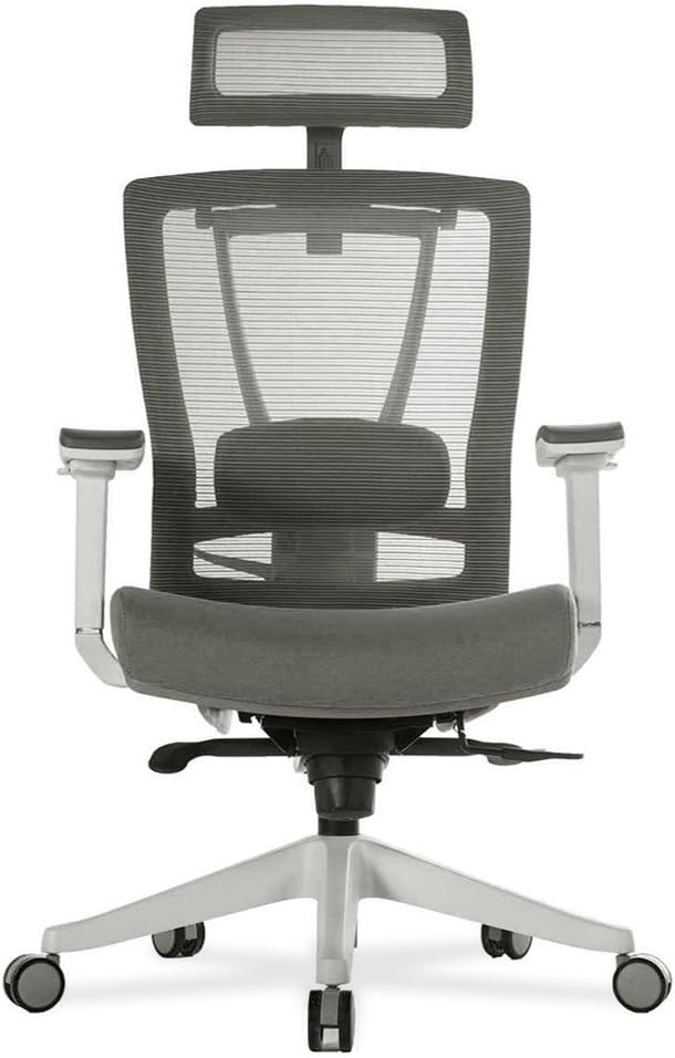 Premium Gray Ergonomic Office Chair by Autonomous Iceland Ubuy