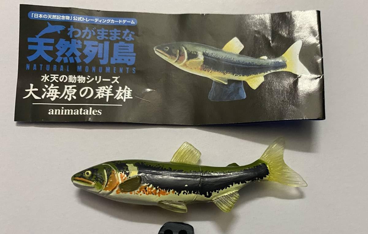 Amazon.co.jp: わがままな天然列島 大海原の群雄 R0001 アユ 婚姻色 鮎