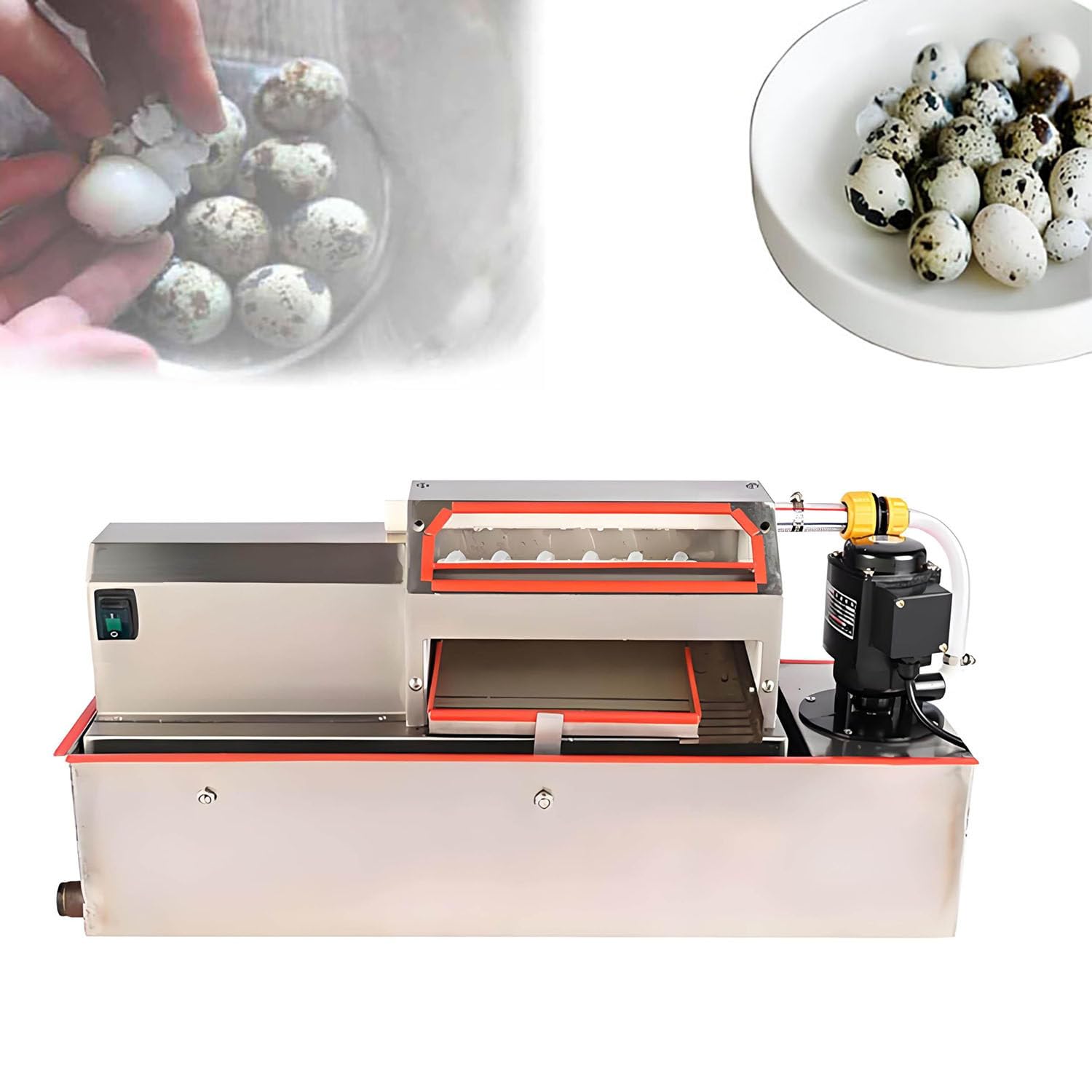 MáQuina Peladora EléCtrica Comercial de Huevos de Codorniz,para PáJaros y Huevos en Conserva Desgranadora Automática con Pulverizador de Agua