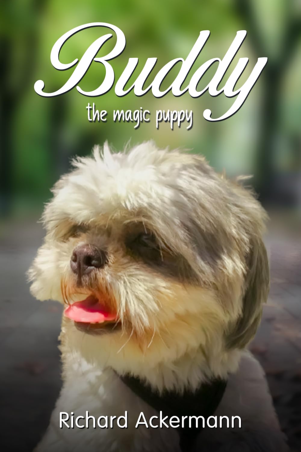 Buddy the Magic Puppy