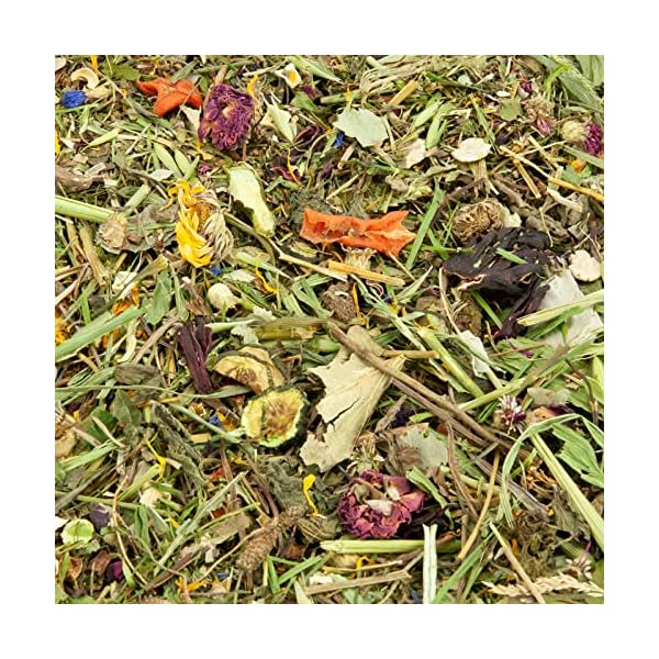 Mr. Crumble Meerschweinchen-Futter getreidefrei mit Blüten, Kräutern und Gemüse – Bild 4