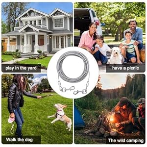 10ft (3 Meter) Dog Tie Out Cable, Tie-Out Cable for Dogs up to 176lbs, Suitable for All Breeds (Blue)