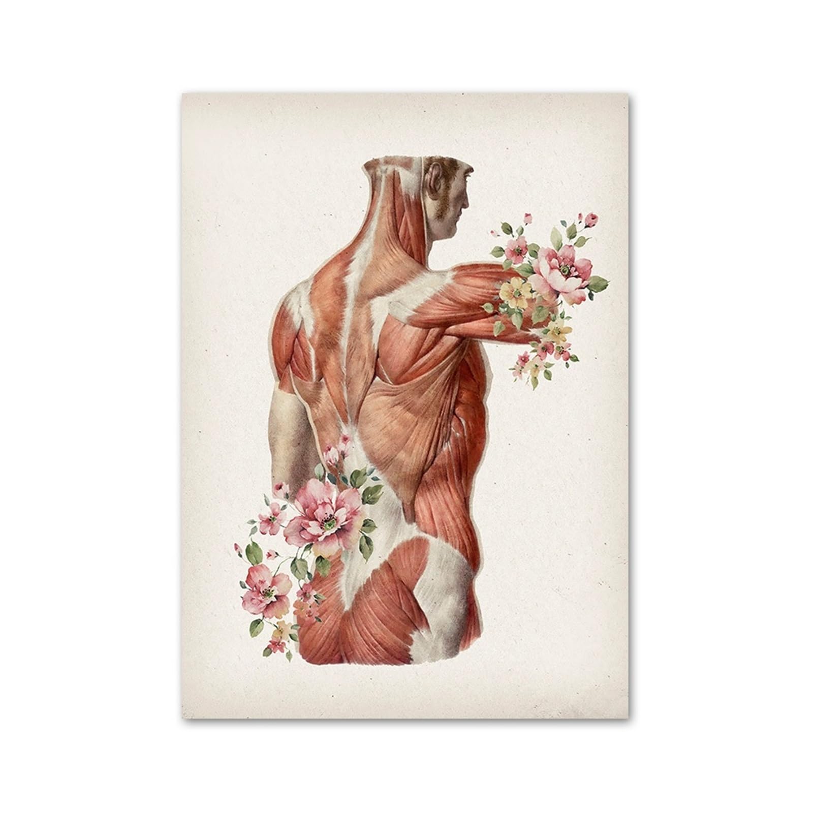 Affiches et imprimés nordiques de médecine florale pour votre décoration de salon