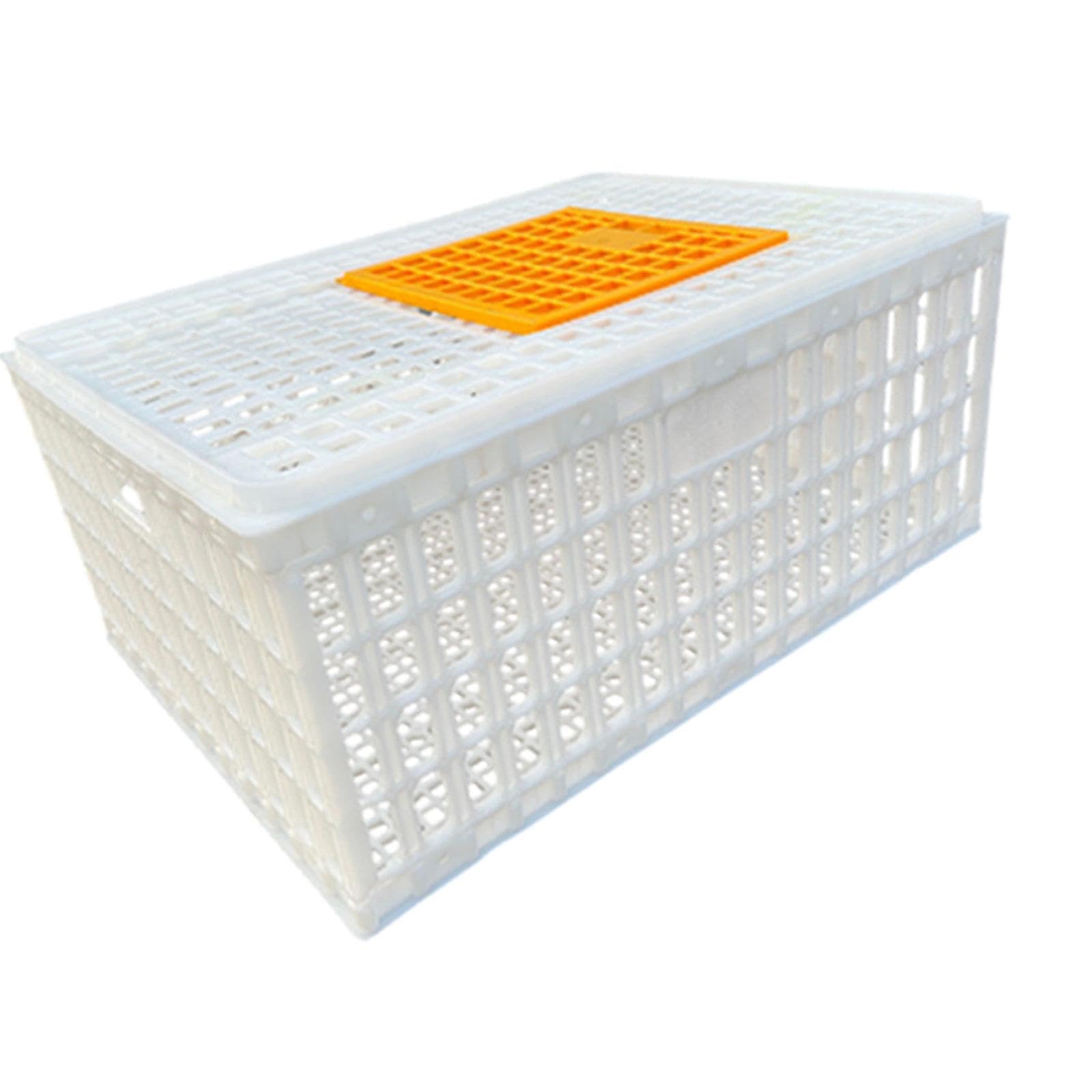 Jaula Transportadora de Aves de Corral, Blanco Altura 33cm