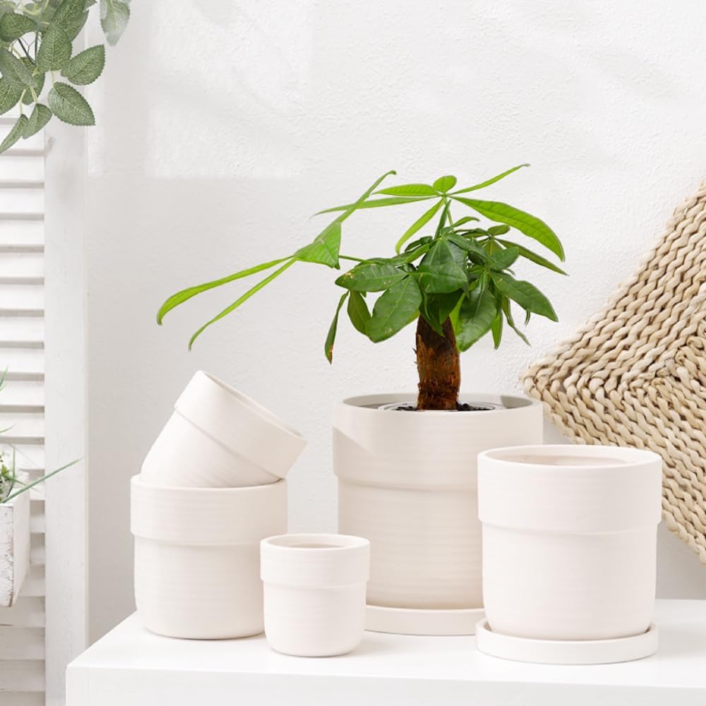 Braque Ceramic Plant Saucer Pot Tray 7 Inch, 2 Pack Round Matte White Flower Plant Saucers for Holding Water Drips and Soil, Ceramic Drainage Tray for Plant Pots, Include Silicone Feet Protect Surface