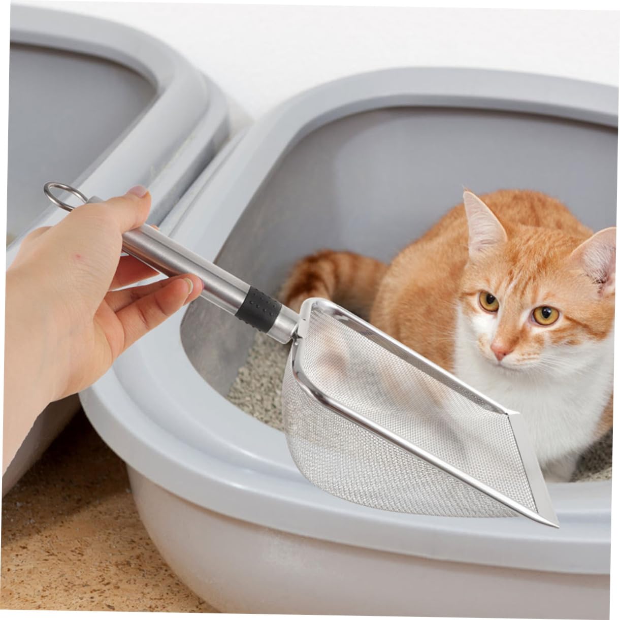 Toddmomy Arena De Acero Inoxidable para Hámsteres Gatos Serpientes Pala para Arena De Reptiles Alfombra para Perros Jaula para Cacatúas Hermético para Rocas Arena para