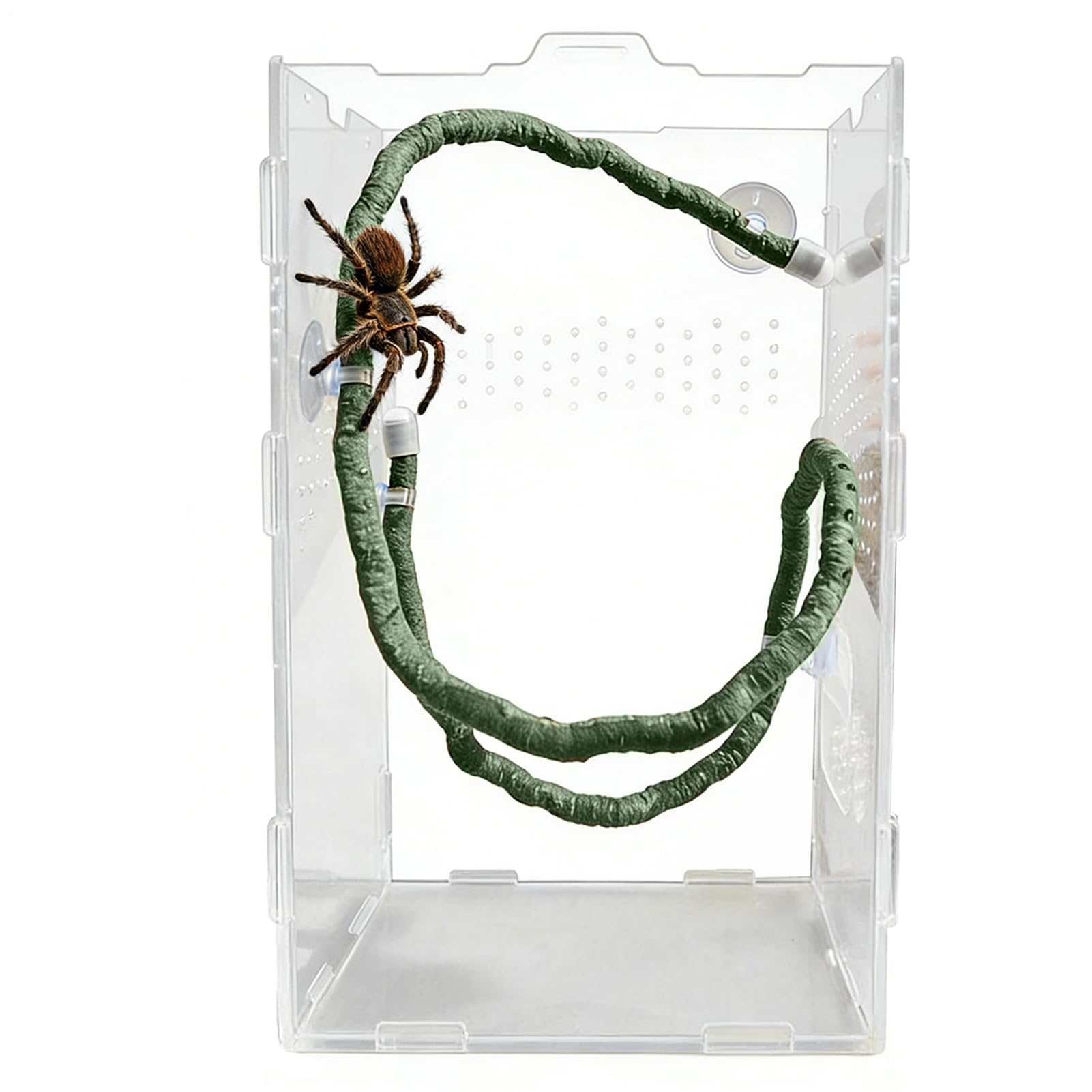 Genérico Terrario Enredaderas,Ramas Trepadoras Flexibles Artificiales con Ventosas,Accesorios para Terrarios con Ventosas - para Terrario, Jaula, Hábitat de Geckos, Lagartos y Mascotas