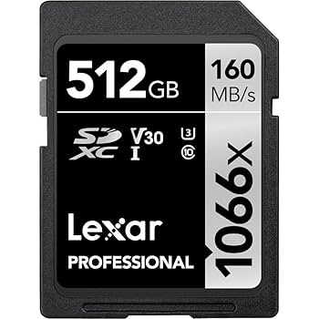 Amazon | Lexar® Professional 1066x SDXC™ UHS-I Card SILVER