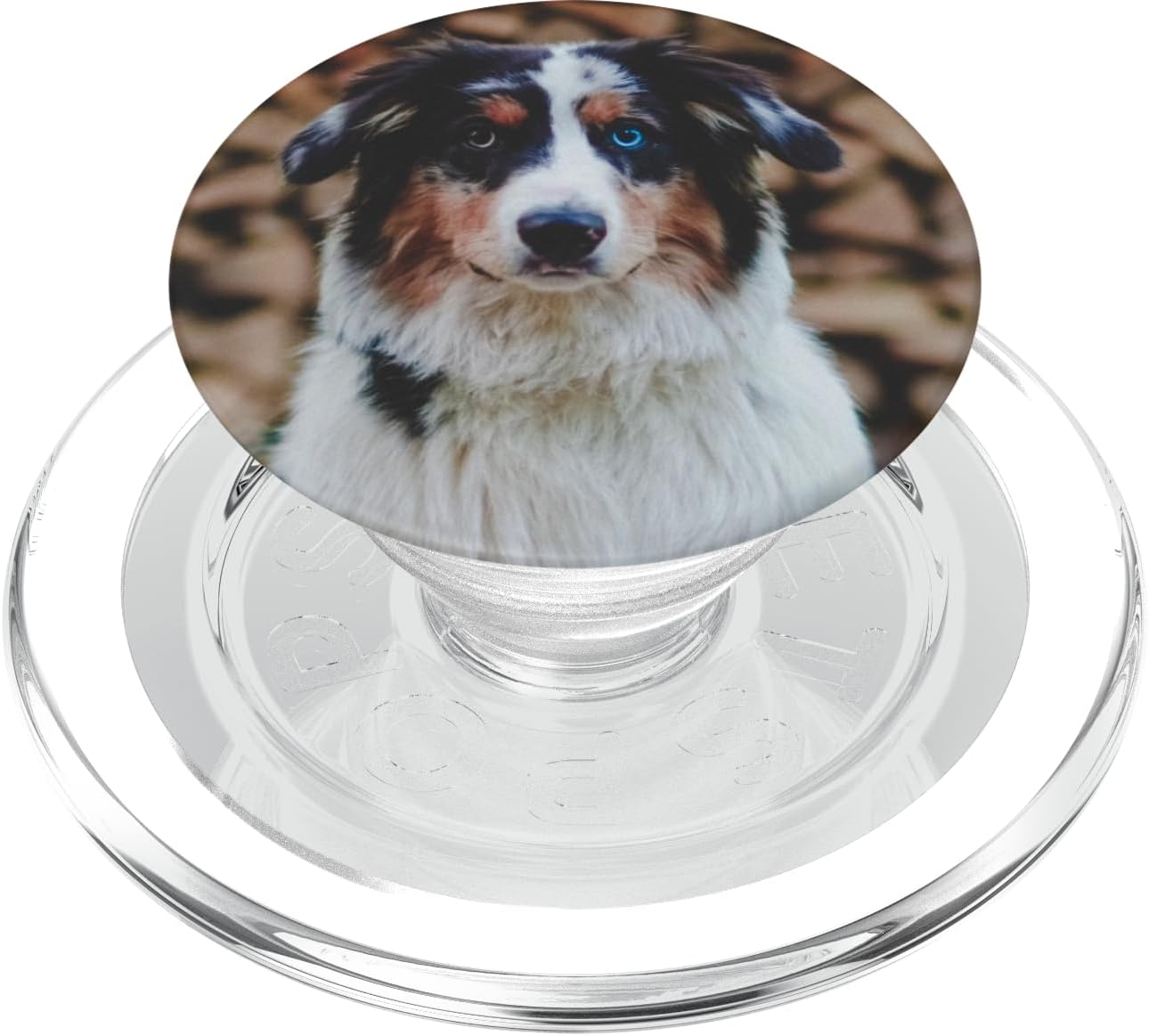 Australian Shepherd Aussie Dog PopSockets MagSafe PopGrip for iPhone
