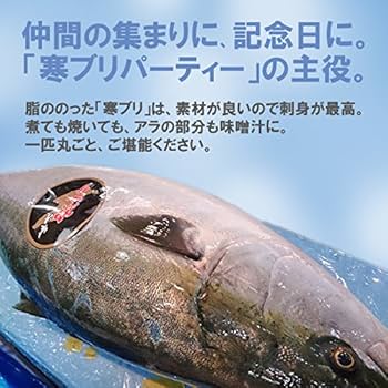 Amazon.co.jp: 魚水島 新潟 佐度産 天然 鰤 寒ブリ 「佐渡 寒