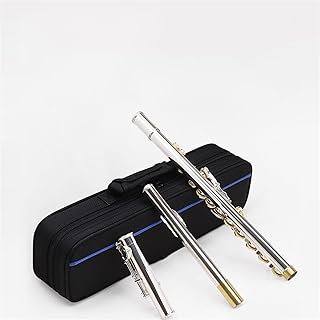 16-hole Flute, Closed Hole In C Key, Beginner Professional Silver-plated Flute With E Key flute instrument