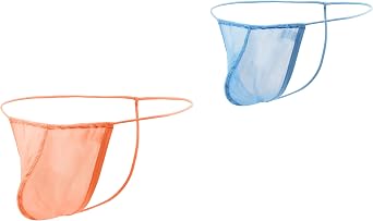 JINSHI Mens Thongs Underwear Silk Brief Micro Mesh Low Rise Sexy T-Back Bulge Pouch Sexy G-Strings Underpants Briefs Nylon