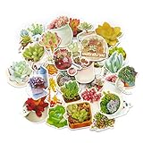 DadaCrafts(TM) Succulents 29pcs 3cm - 4cm Large Bag Packaged Stickers Sets