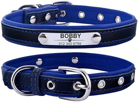 personalised dog collars amazon