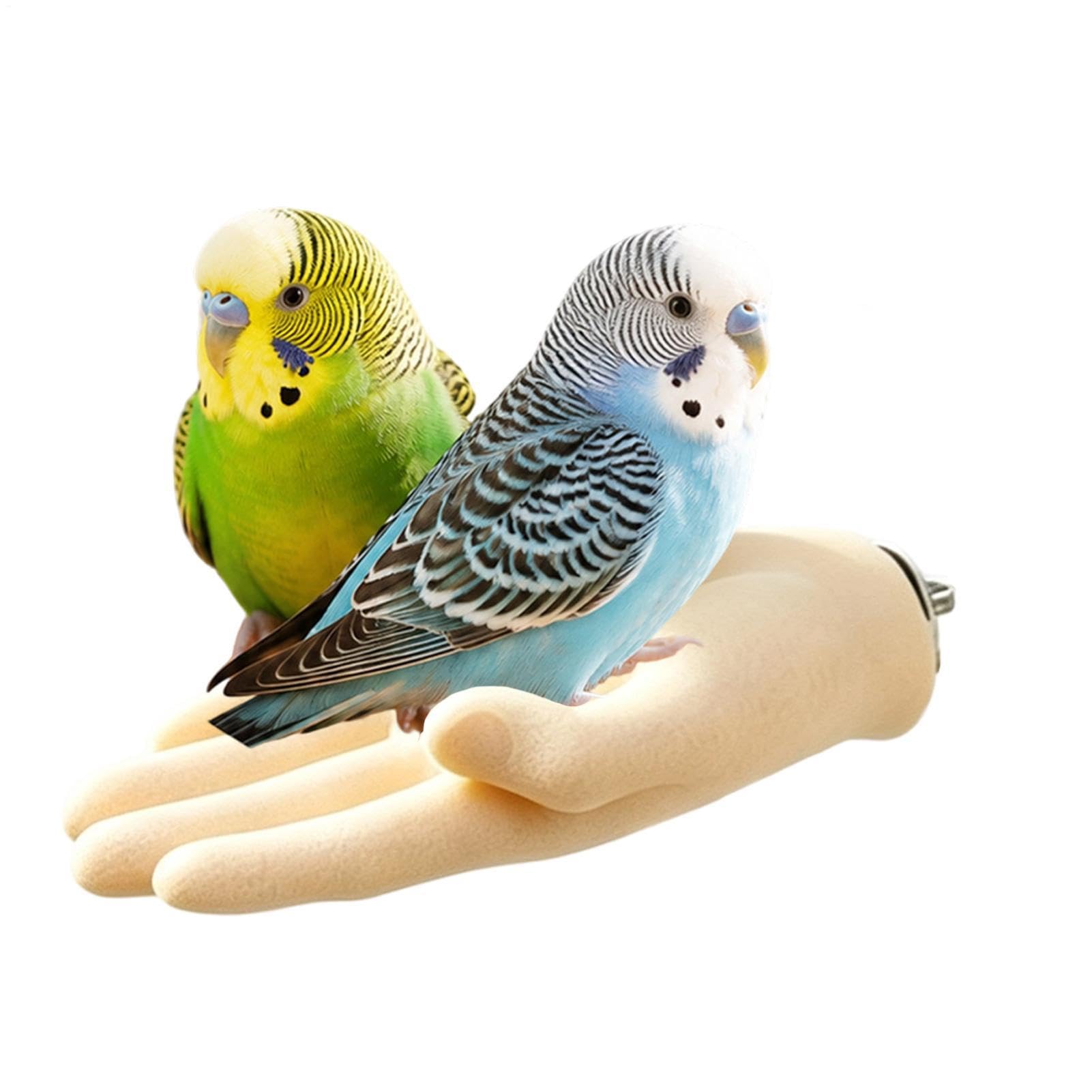 Hand Shaped Bird Perch Interactive Training Assistant Parakeet Stand