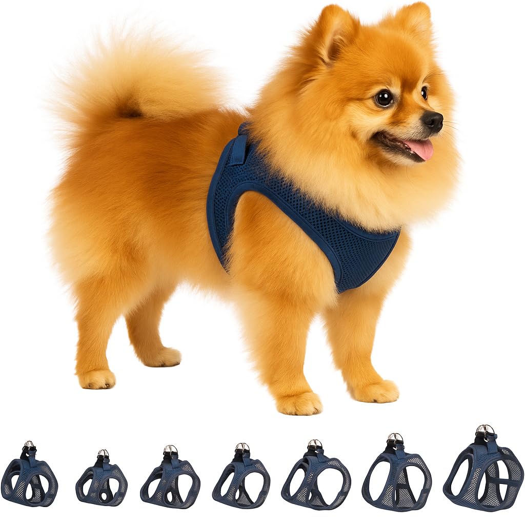 Dog Harness Step&Go Bento Dark blue S 30-35cm 37-40cm