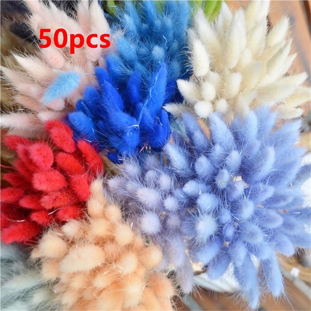 Artigianato con fiori pressati 50 pezzi Premium Bunny Tail Decor Plants, fiori secchi Coniglio c0da piante, immortale bouquet for festa