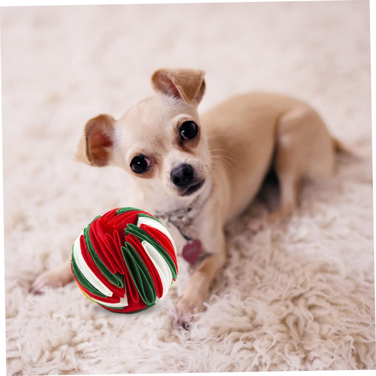 Toddmomy 4piezas Pelota De Olores para Perros Juguete Interactivo De Entrenamiento Estimula El y Controla La Alimentación De Diseño Resistente y Duradero para Perros Pequeños y Medianos