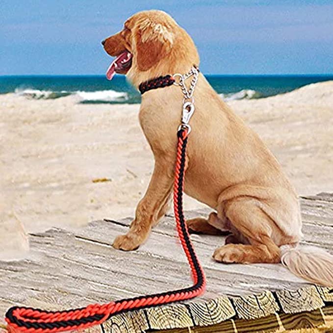 SR VISION Nylon Dog Leash with Extra Strong Brass Snap Hook for Large Breed Dogs - Color May Vary (B0BJKS51JC) Amazon Price History, Amazon Price Tracker