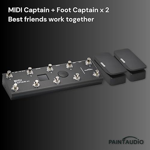 Miniatura 5 de Paint Audio Foot Captain Dual Outputs Pedal de expresión multiefectos compatible para conexión de puntaanillo (Foot Captain)