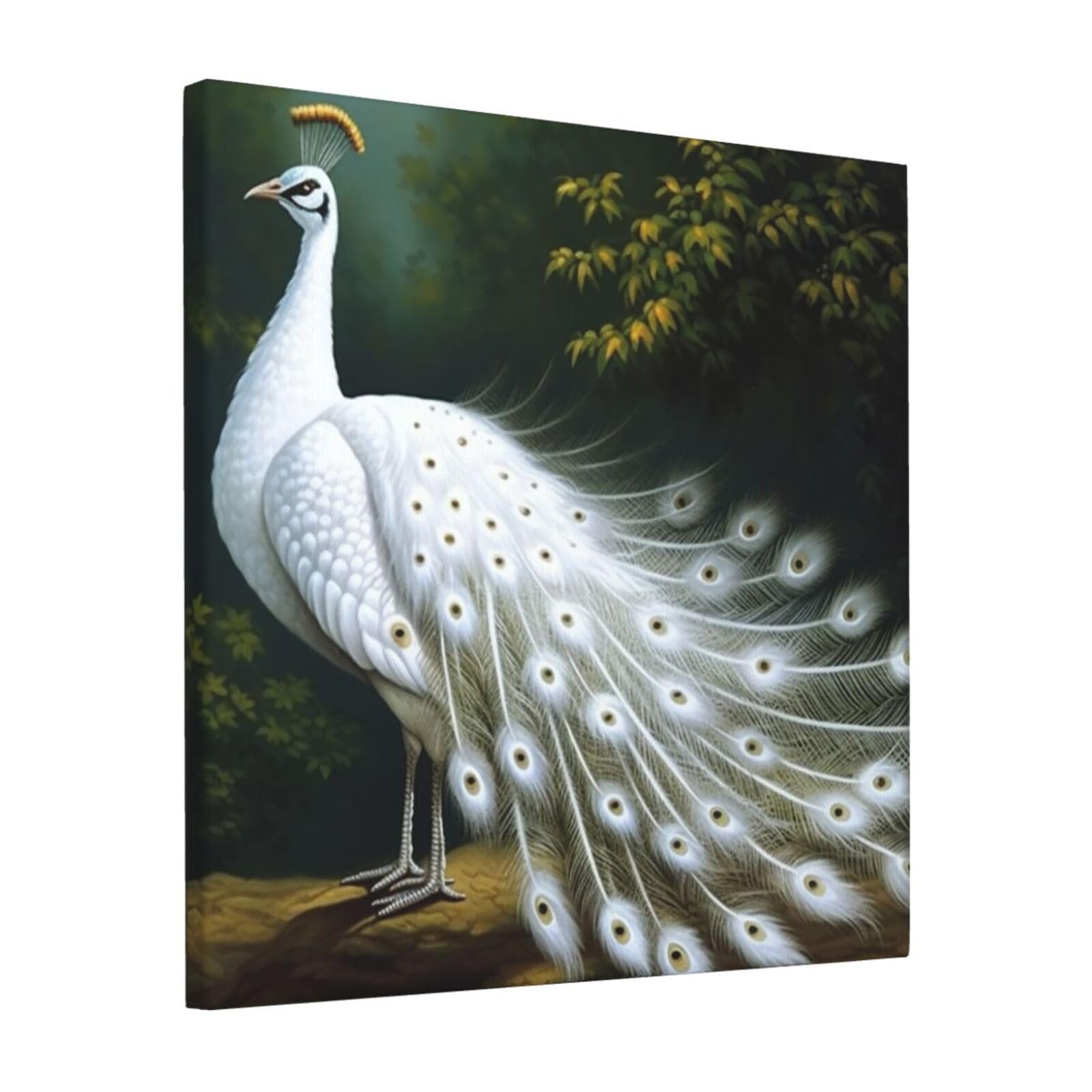 KLOPH White Peacock Canvas Wall Art for Living Room 12"x12" Modern Artwork Painting for Bathroom Hanging Canvas Prints Aesthetic Wallart for Bedroom Kitchen Office Wall Decor