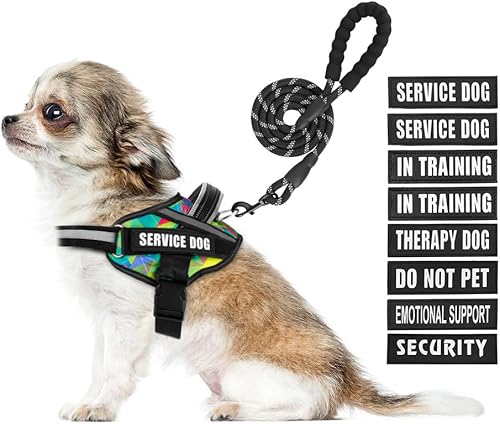 Miniatura 1 de Juego de arnés y correa para perro, animire in Training Dog con 9 parches para perros, correa reflectante para perro con mango acolchado suave para