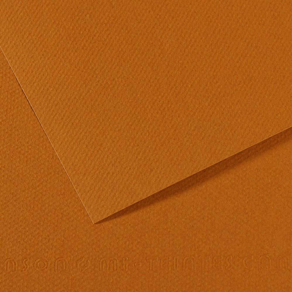 Canson 21985 Papier Dessin Feuille Mi-Teinte N.502 Grain Gélatiné Haute Teneur Coton 160g 50x65cm Havane Blanc