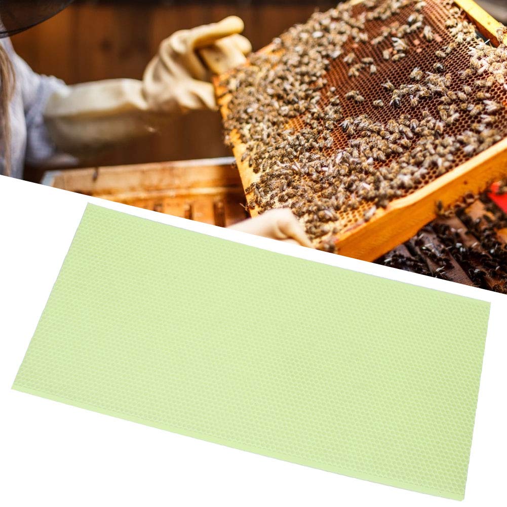 10 Pièces équipement D'outils D'apiculture, Cadre De Ruche, Feuille De Miel D'apiculture en Plastique Vert Cire d'abeille Fondation De Ruche Fournitures D'apiculture